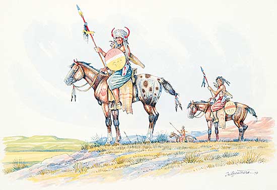 #519 ~ Tailfeathers - Untitled - Yellow Shield