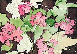 #96 ~ Simard - Pink Geranium