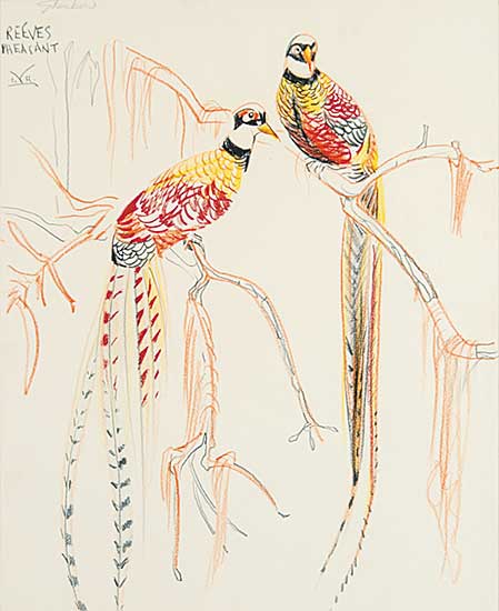 #665.1 ~ Kerr - Reeves Pheasant