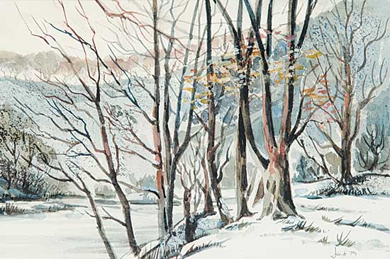 #735 ~ Vest - Untitled - Winter Creek