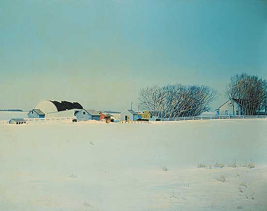 #738 ~ Webb - Afternoon Sunlight [Near St. Paul Auction Mart]