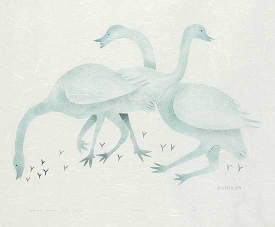 #49 ~ Aliknak - Swans  #16/50