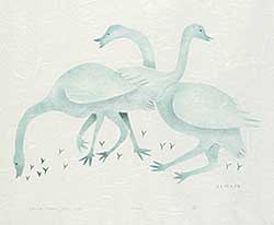 #49 ~ Inuit - Swans  #16/50