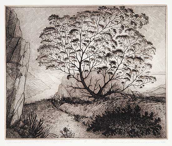 #3 ~ Blackwood - Gram Glover's Tree on Bragg's Island  #14/75