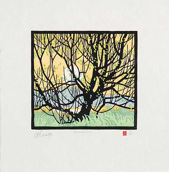 #421 ~ Casson - Grenadier Pond  #84/240