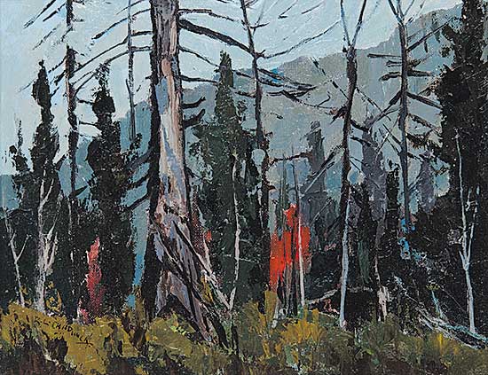 #423 ~ Chadwick - Burnt Over Land, October Algoma