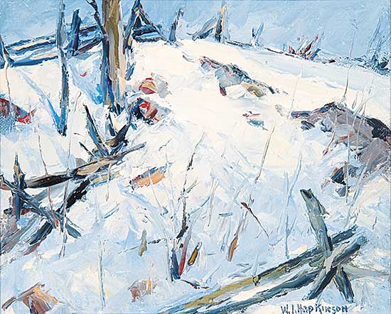 #447 ~ Hopkinson - Fences, Haliburton