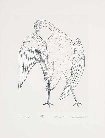 #452 ~ Pootoogook - Shore Bird  #23/50