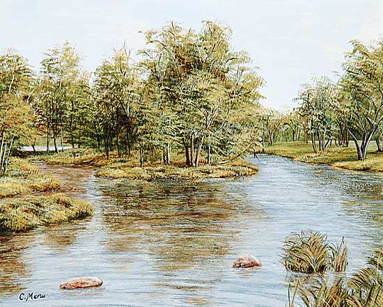 #482 ~ Menu - River Divide