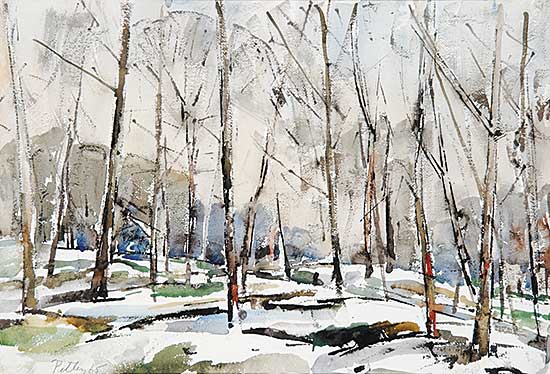 #484 ~ Petley-Jones - Snow in the Woods