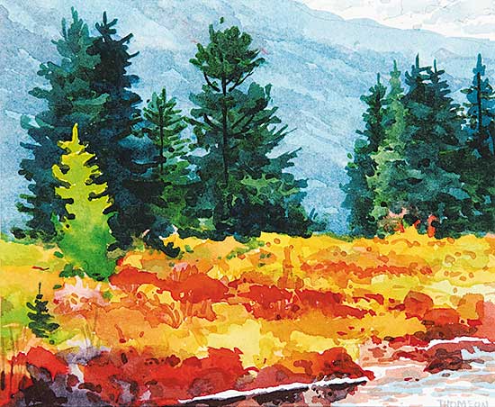 #502 ~ Thomson - Beautiful Fall Day