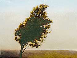#72 ~ Marchessault - The Marsh Tree