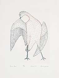 #452 ~ Inuit - Shore Bird  #23/50