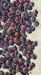 #477 ~ McCallum - The Grapes of Kath