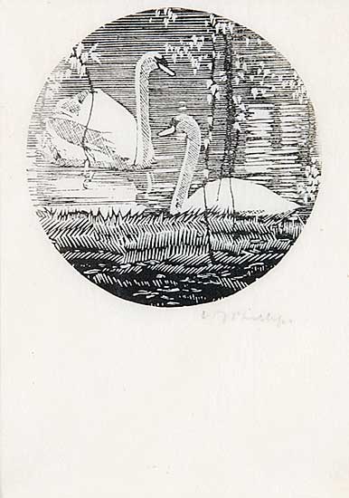 #607 ~ Phillips - Swans