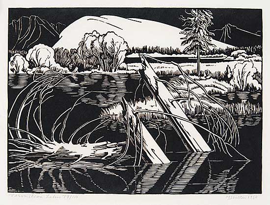 #635 ~ Shelton - Vermilion Lakes  #79/100