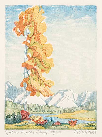 #646 ~ Shelton - Yellow Poplar, Banff  #179/200