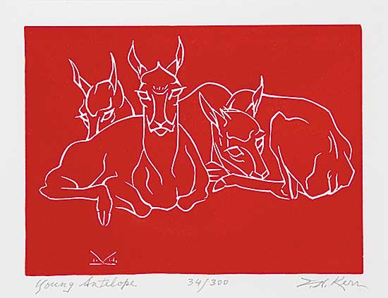 #714 ~ Kerr - Young Antelope  #34/300
