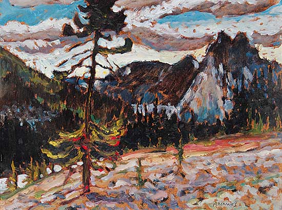 #739 ~ McInnis - Scree and Boulders