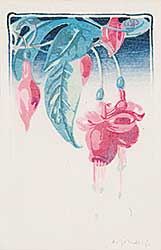 #602 ~ Phillips - Fuchsia