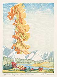 #646 ~ Shelton - Yellow Poplar, Banff  #179/200
