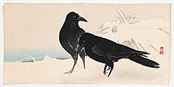 #779 ~ School - Untitled - The Raven