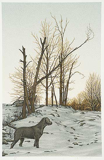 #27 ~ Brown - Untitled - Black Lab in Winter  #24/80