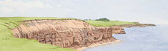 #37 ~ Cleary - Coastline N.W., PEI