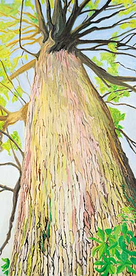 #65 ~ Gossage - Untitled - Tree Trunk