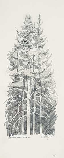 #110 ~ Overvoorde - Pine Trees, Baker Creek, AB