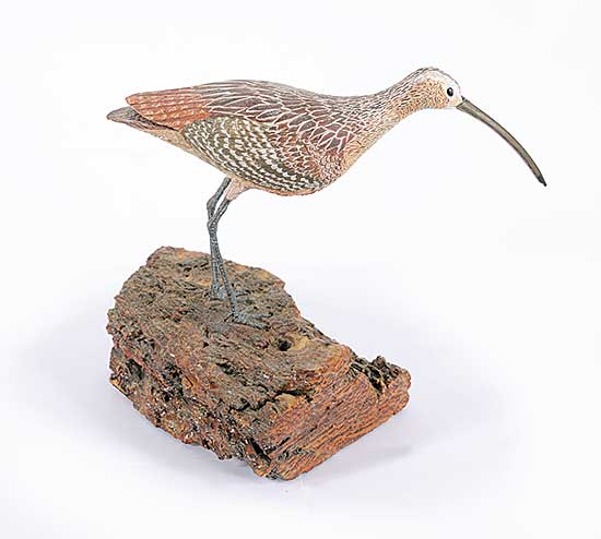 #128 ~ Ray - Long Billed Curlew