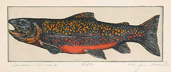 #134 ~ Robinson - Canadian Brookie  #14/50