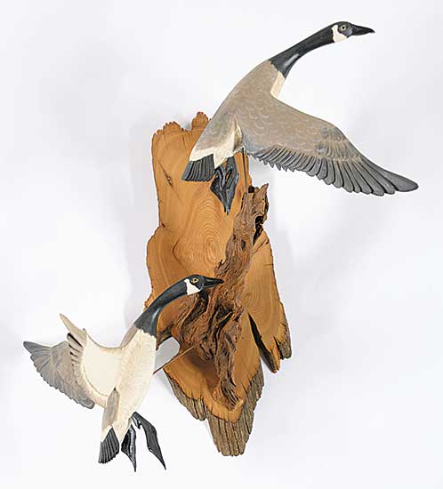 #139 ~ Ruch - Canada Geese
