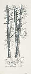 #111 ~ Overvoorde - Pine Trees, Baker Creek, Alberta