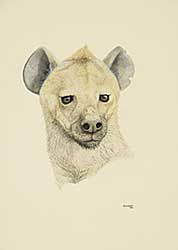 #168 ~ Woodford - Untitled - Hyena Head