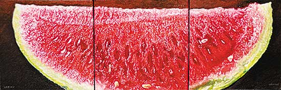 #61 ~ Lemay - Watermelon Triptych I, II, and III