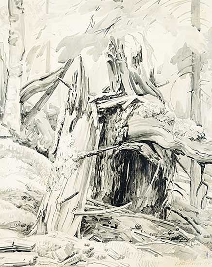 #64.1 ~ Lindner - Untitled - Decay and Rebirth on the Forest Floor