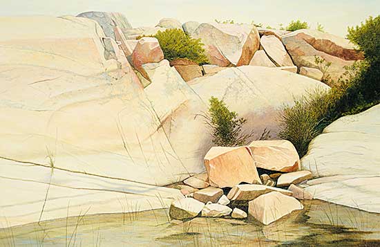 #124 ~ Wheale - Fallen Rock - The Chickens