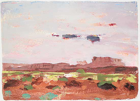 #417 ~ Christopher - Arizona Reds