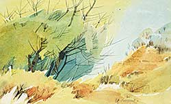#70 ~ Lindoe - Untitled - Windswept Willows