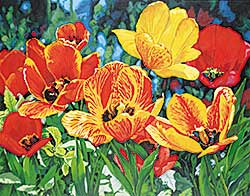 #115 ~ Sinclair - Elizabeth's Tulips