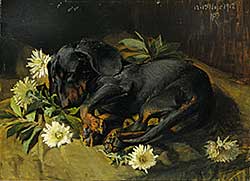#317 ~ Rasmussen - Untitled - Sleeping Puppy