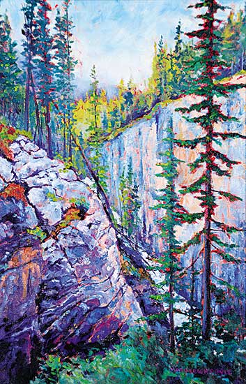 #1148 ~ Doyle - Canyon Wall