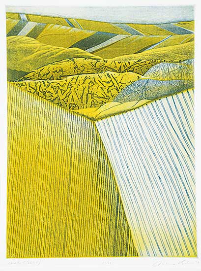 #1157 ~ Esler - Fields II [State II] #13/50