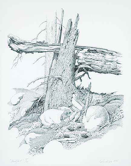 #1243 ~ Lindner - Deadfall  #38/60