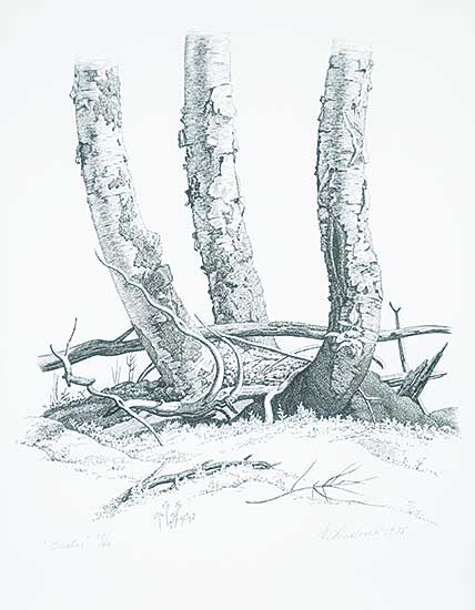 #1244 ~ Lindner - Birches  #42/60