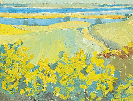 #1360 ~ Siebner - Hiddensee Grugen [Baltic Sea]