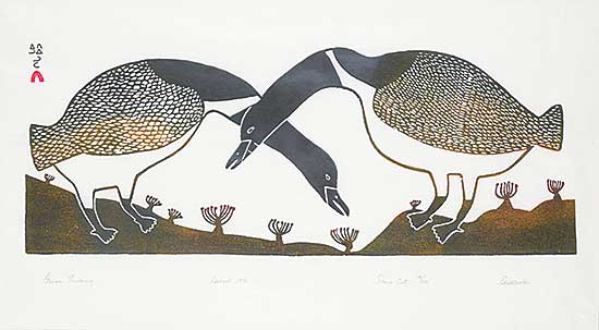 #23 ~ Etidlooie - Geese Feeding  #50/50