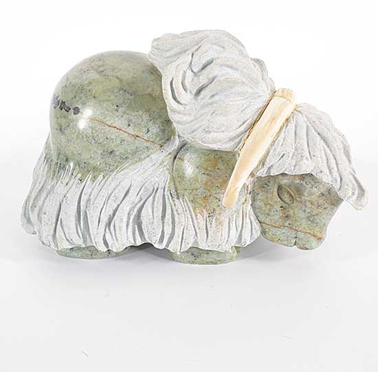 #56 ~ Muckpah - Muskox