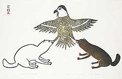 #78 ~ Inuit - Owl Attacked by Dogs  #46/50